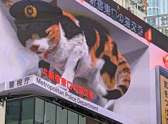 テニススクール　東戸塚