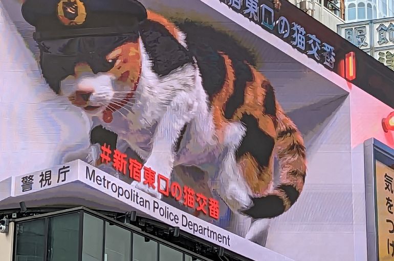 テニススクール　東戸塚